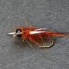 Brown Stone Fly