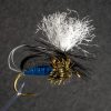 NZ Blowfly