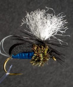 NZ Blowfly