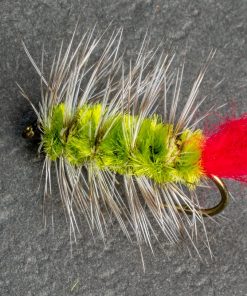 Green Wooly Worm