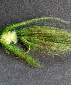 Olive Leech