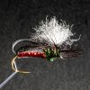 Red Blowfly