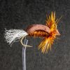 Rusty Beetle